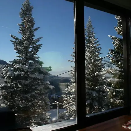 Villa Sunset Luxury House Jahorina